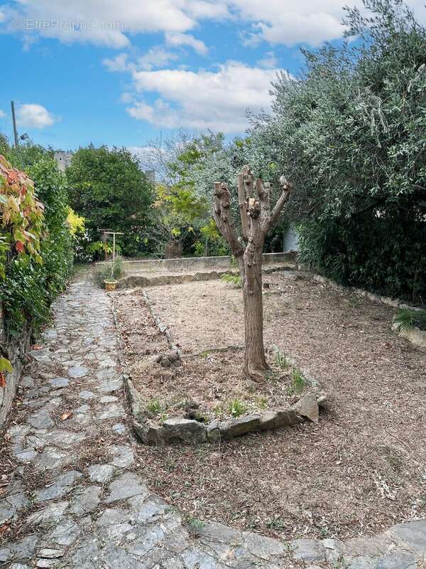 Maison à CARCASSONNE