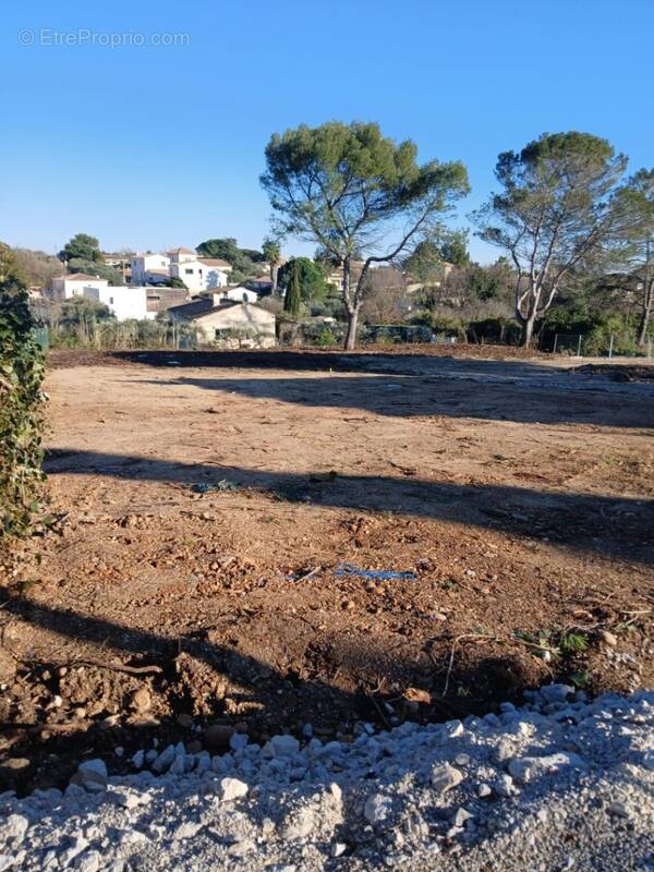 Terrain à MUS