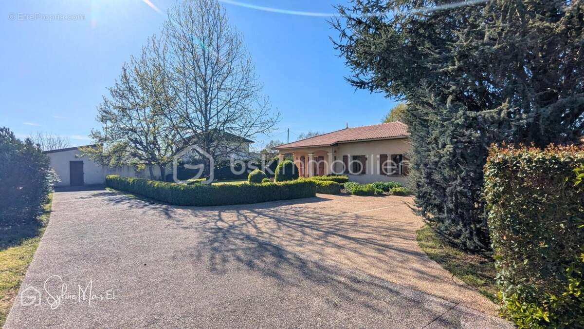 Maison à SAINT-VITE