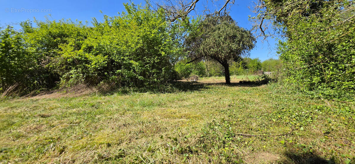 Terrain à MACHEMONT