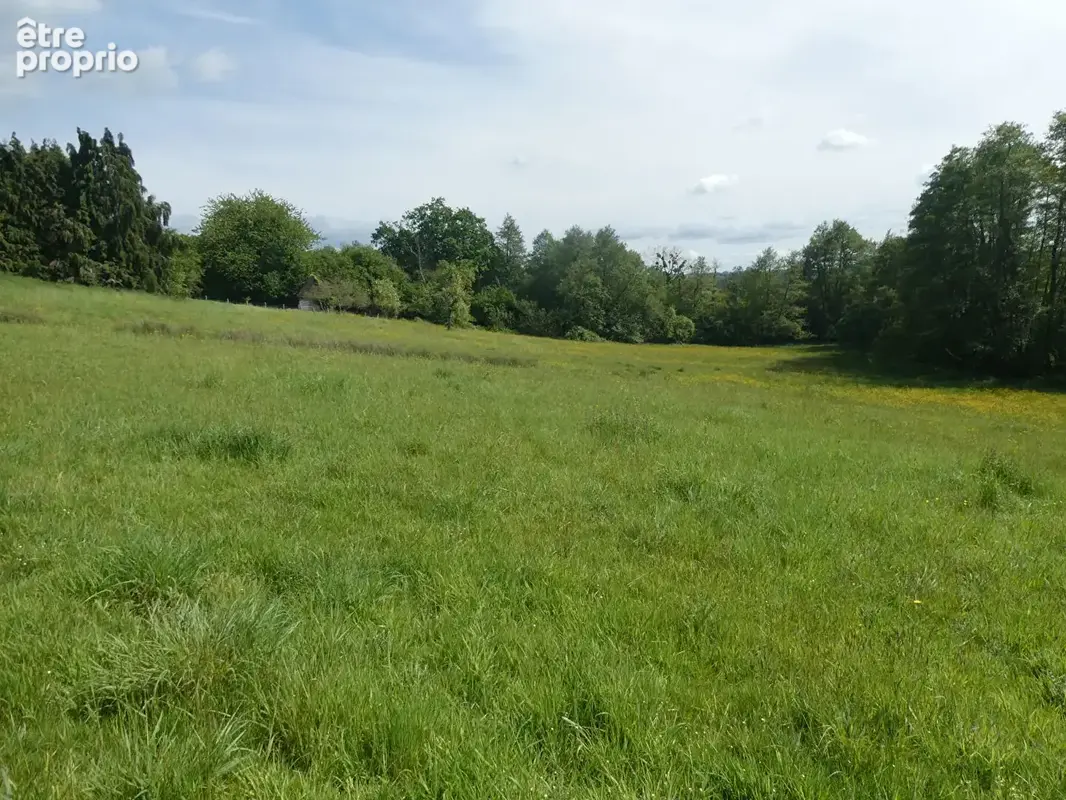 Pont L Eveque ancien corps de ferme s/29 040 m², très belle vue, plusieurs dépendances - photo 7