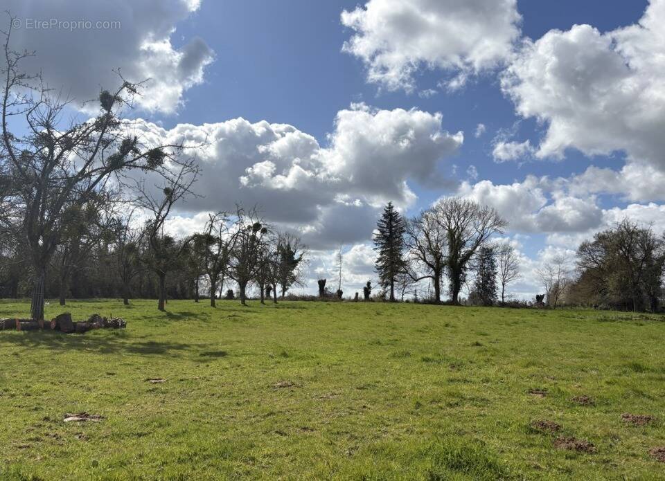 Terrain à BONNEVILLE-LA-LOUVET