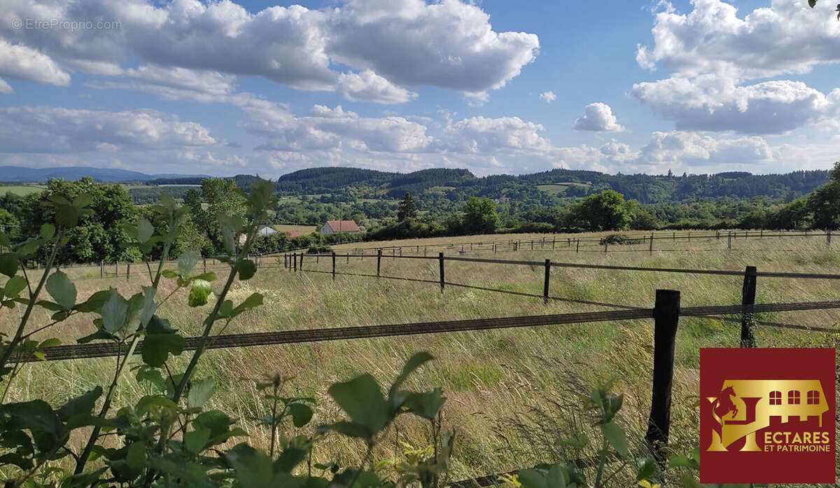 Propriété équestre 12,9 hectares - photo 3