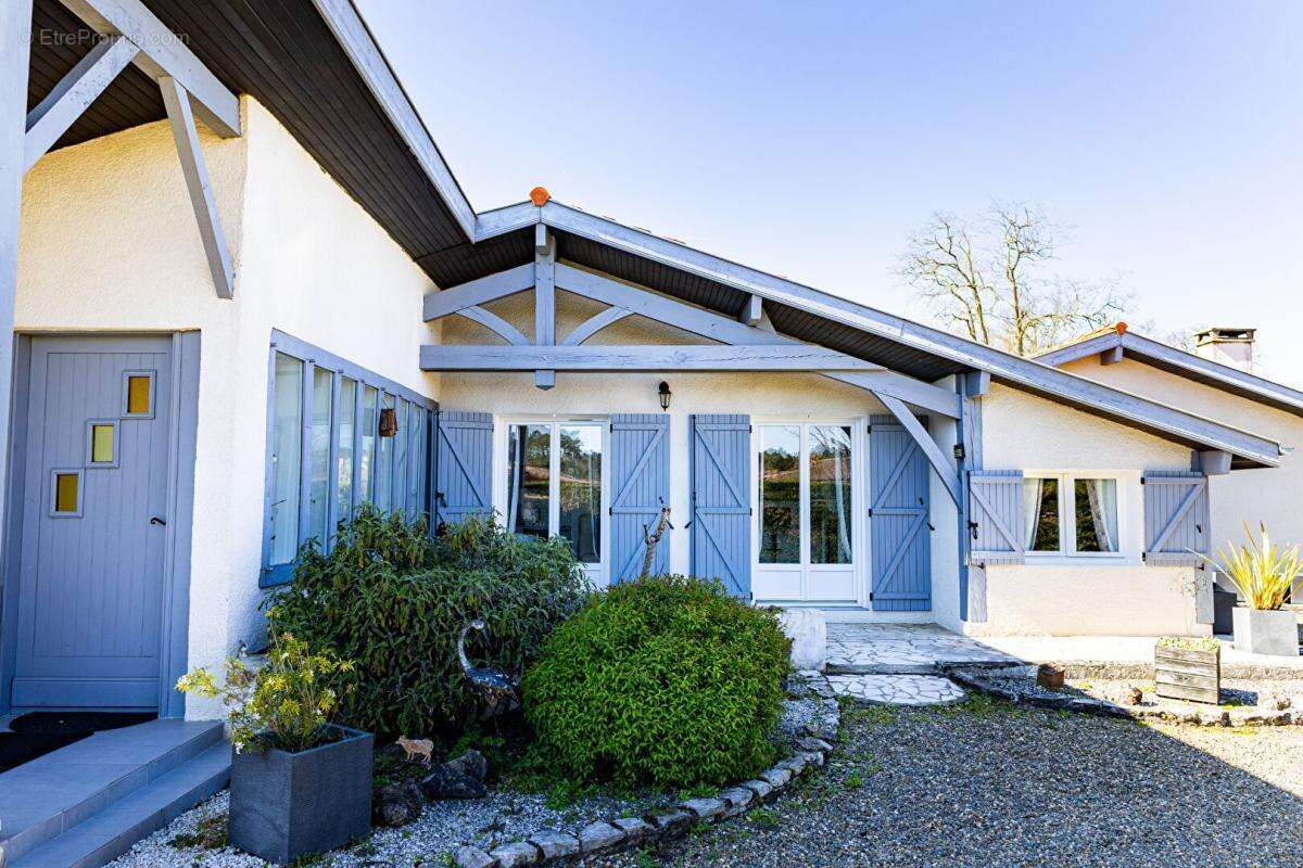 Maison Landaise entièrement rénovée avec Piscine - Proche de DAX et SOUSTONS - photo 4