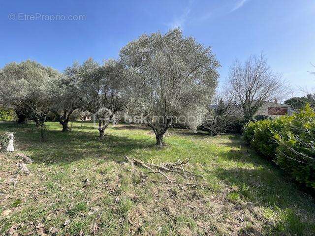 Terrain à VILLENEUVE