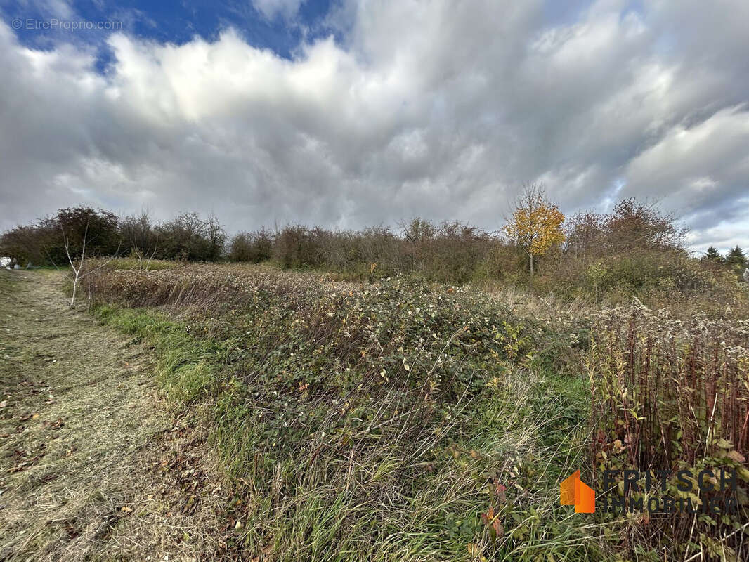 Terrain à ILLFURTH