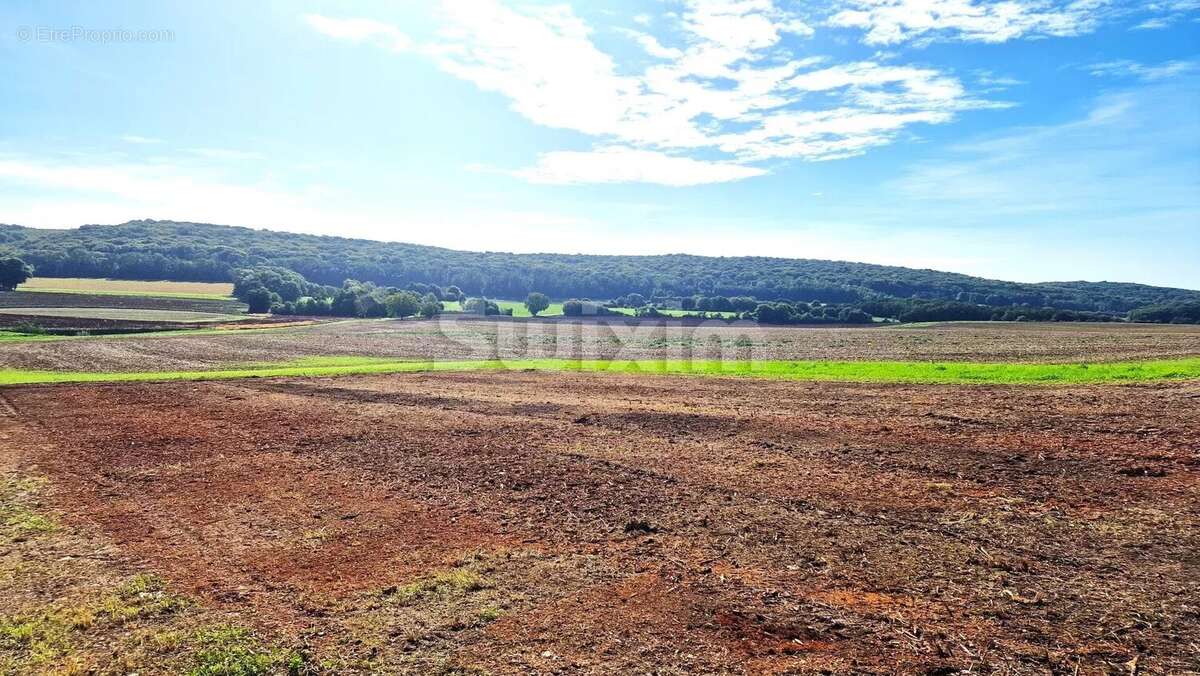 Terrain à AVRIGNEY-VIREY