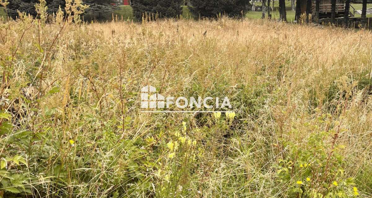 Terrain à FONTCOUVERTE-LA-TOUSSUIRE