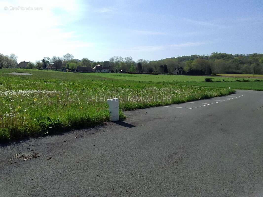 Terrain à NAVARRENX