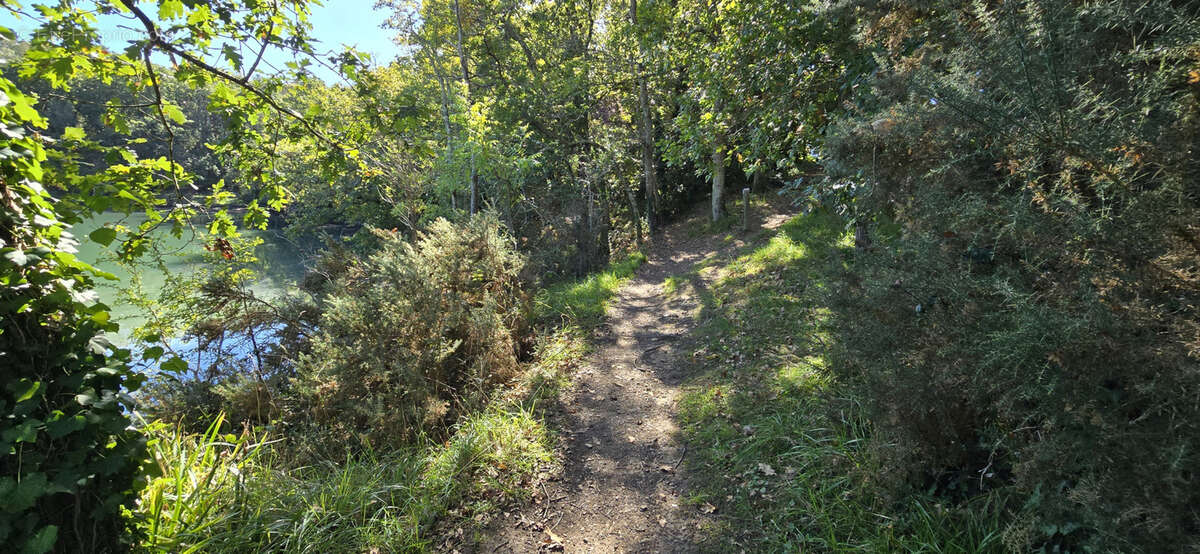 Maison à MOELAN-SUR-MER