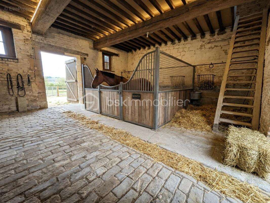 BARBY – Ensemble immobilier rare à fort potentiel (470 m² bâtis) - photo 13