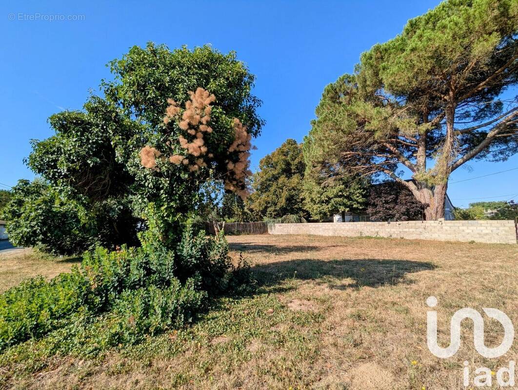 Photo 1 - Terrain à GOURS