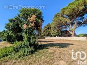 Photo 1 - Terrain à GOURS