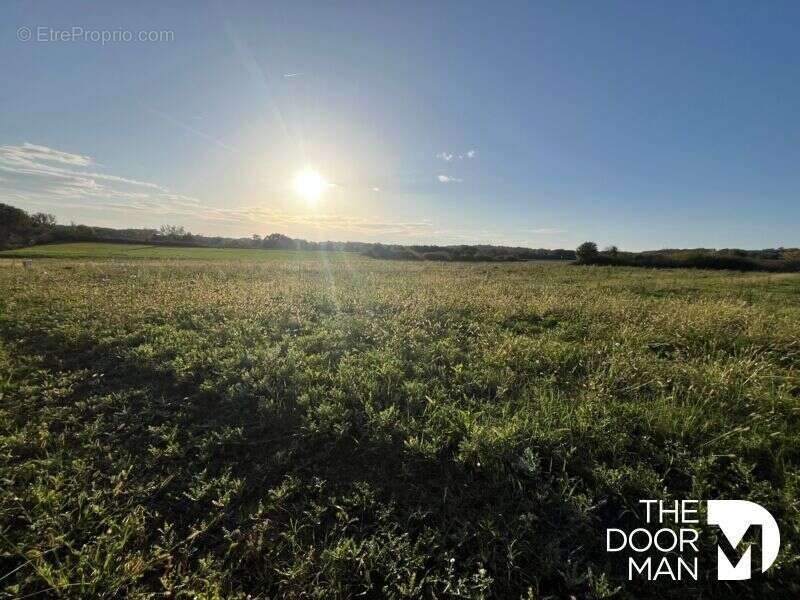 Terrain à LABOURGADE