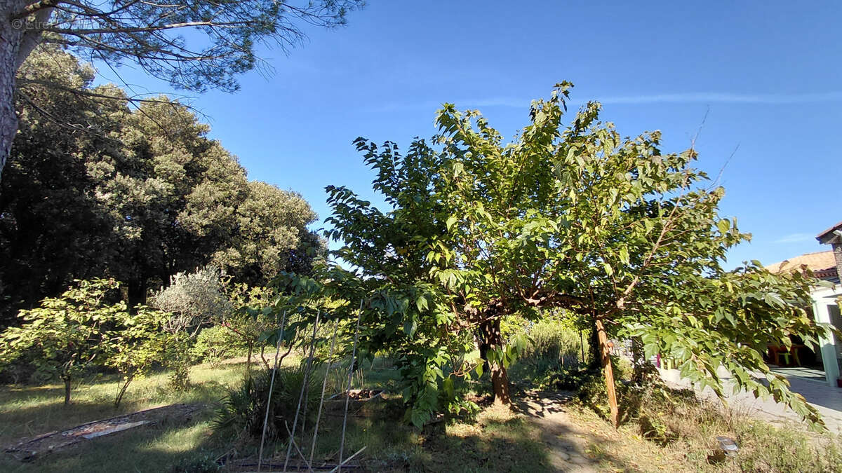 Maison à SAINT-MONTAN