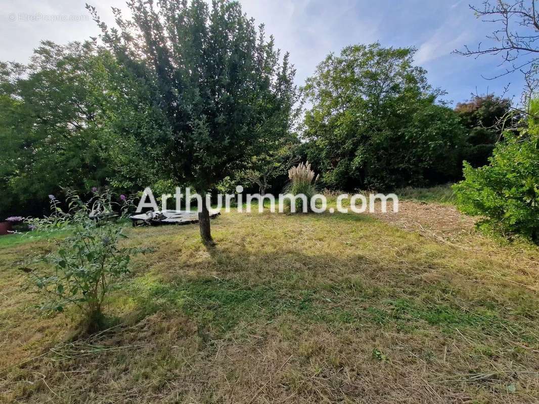 Terrain à THORIGNY-SUR-MARNE