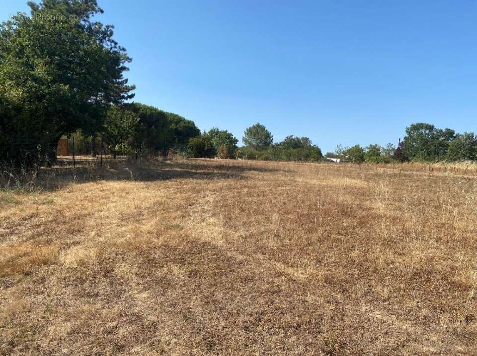 Terrain 594 m² à Montbartier  - photo 4