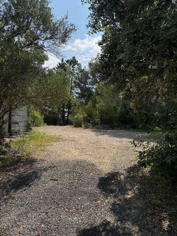 Terrain à SAINT-DREZERY