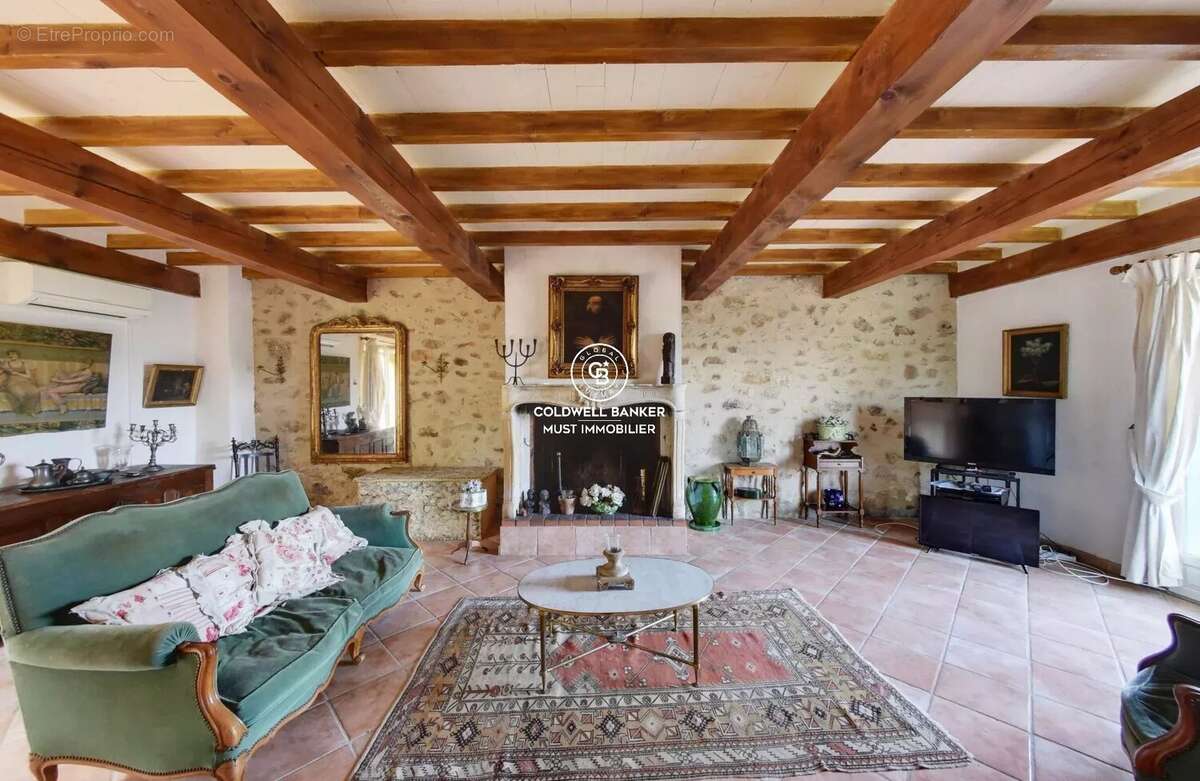 MAS de 295m2 Céret  vue Canigou sur près de 4 Ha - photo 2