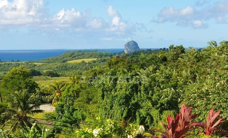 Maison à SAINTE-LUCE