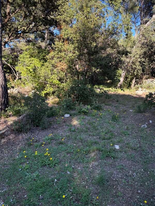 Terrain à MARTIGUES