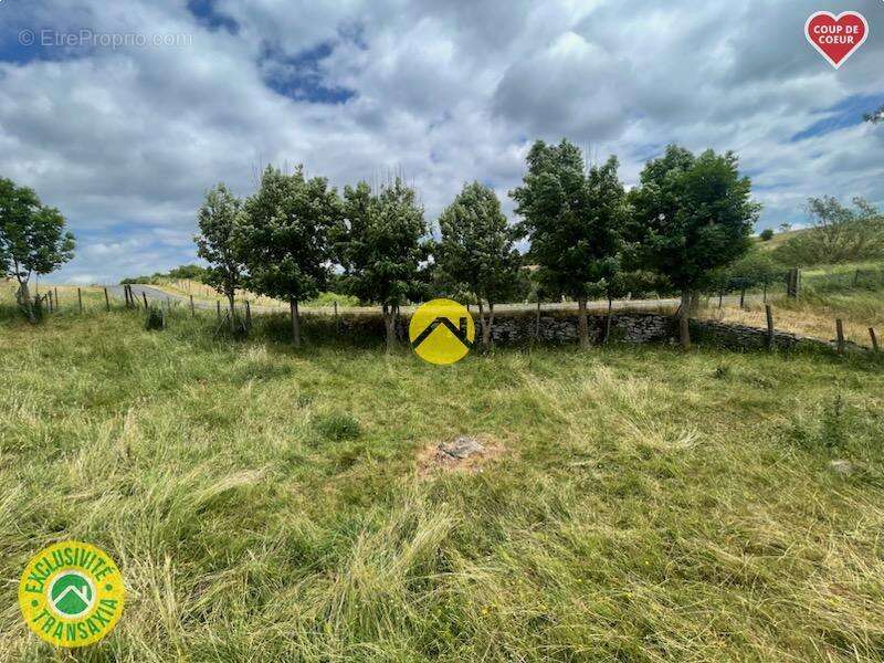 Terrain à PIERREFORT