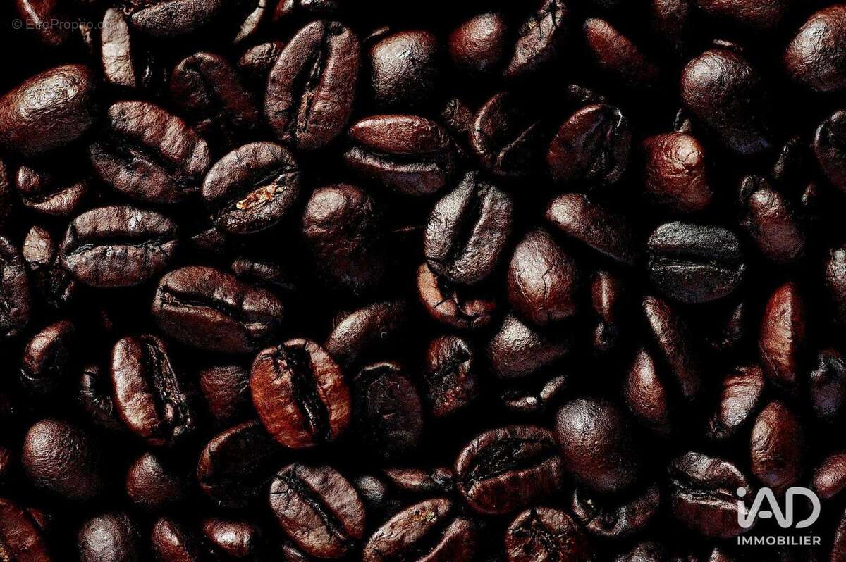 Photo 6 - Commerce à LA ROCHELLE