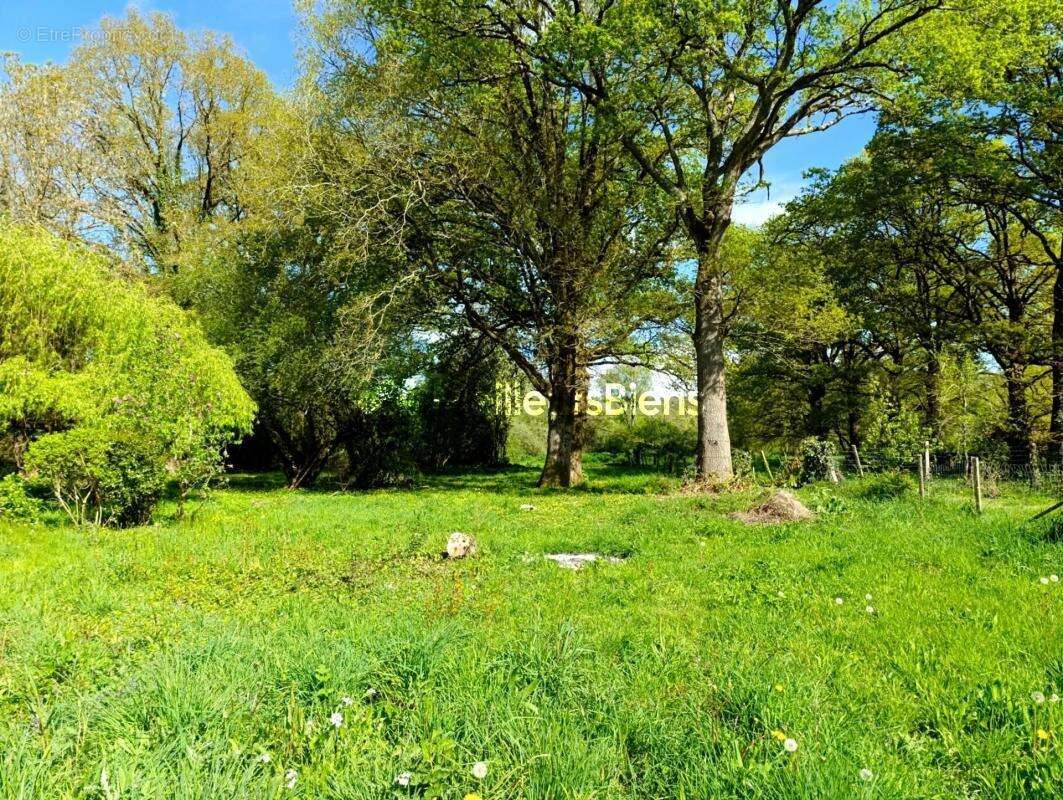 Maison à LA GACILLY