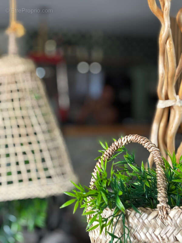 Commerce à LA ROQUE-SUR-CEZE