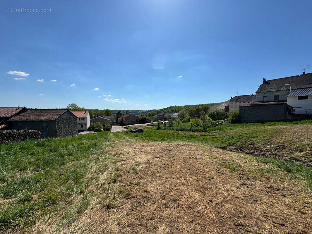 Terrain à MERSCHWEILLER