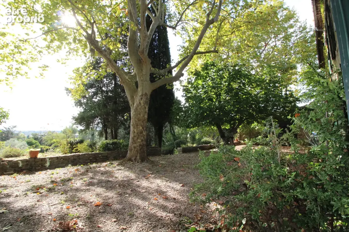 Mas 300 m2 sur 5 hectares. - photo 6