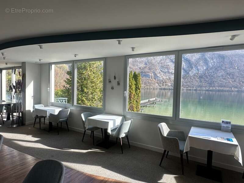 Commerce à AIGUEBELETTE-LE-LAC