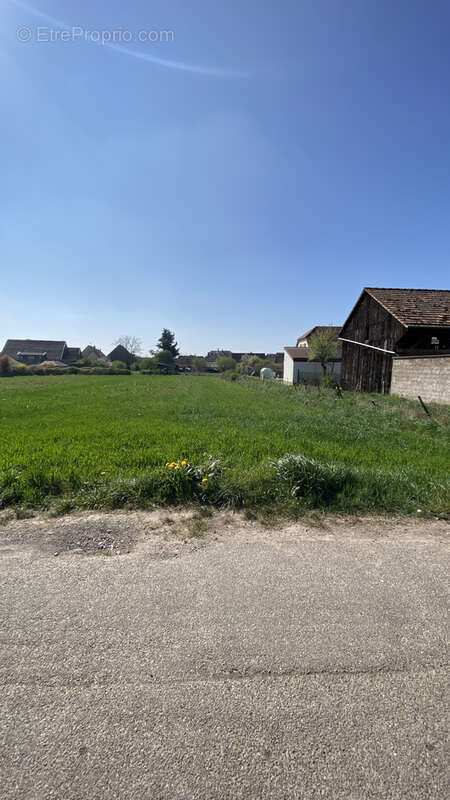 Terrain à STOTZHEIM