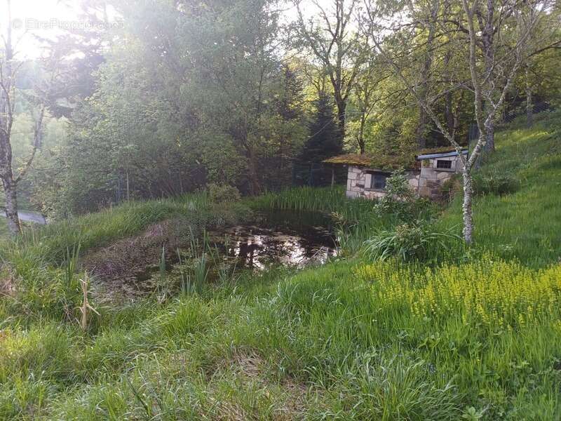 Maison à VOLLORE-VILLE