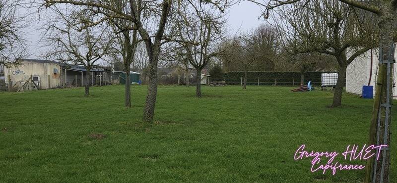 Terrain à THIBOUVILLE