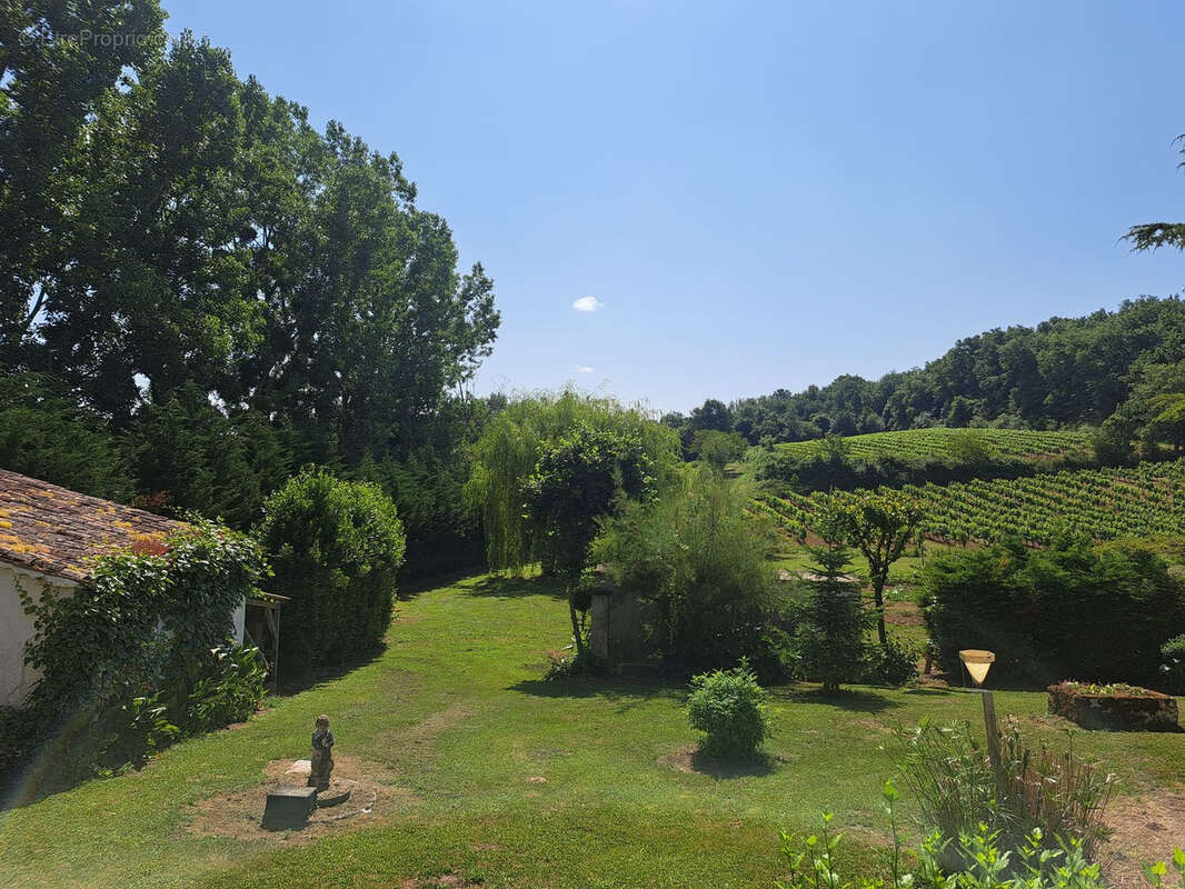 Propriété viticole - photo 14