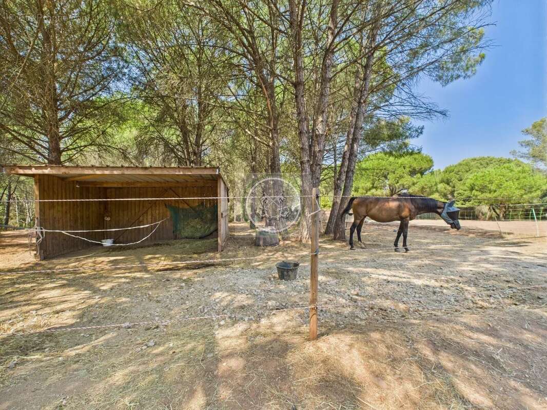 À vendre -Domaine d'exception .  Maison d'hôtes de 2ha - Puget-sur-Argens - photo 17