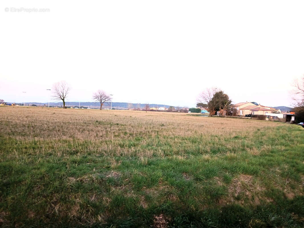 Terrain à SAINT-CHRISTOL-LES-ALES