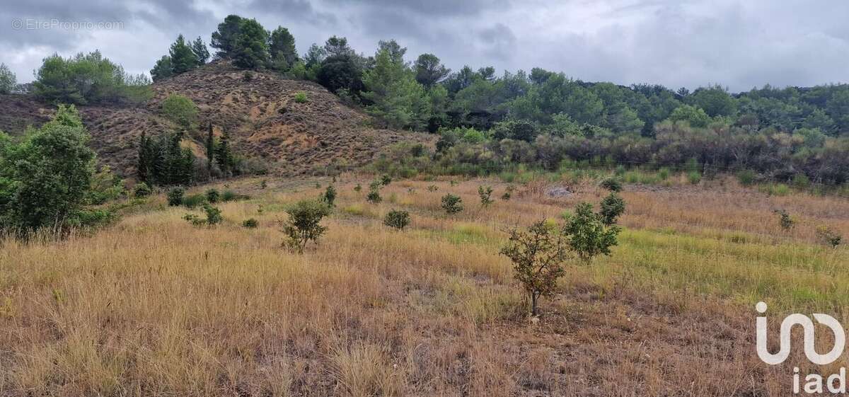 Photo 4 - Terrain à CASTELRENG