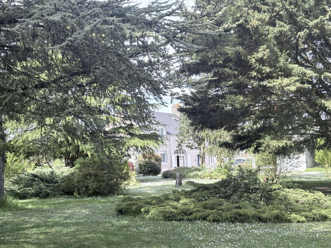 Maison à VILLORCEAU