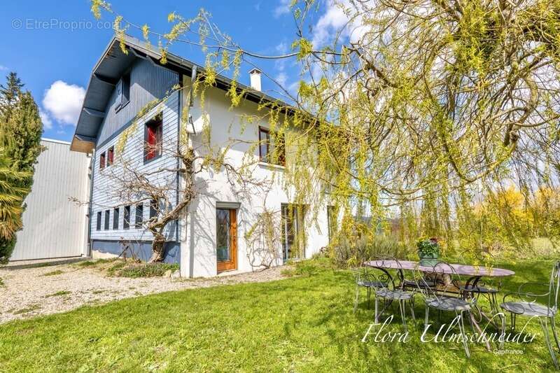 Propriété d'exception avec vue lac et Mont Blanc – 271 m² – DPE C – Ontex - 35 minutes de Chambéry, 40 minutes d’Aix-les-Bains,  - photo 26