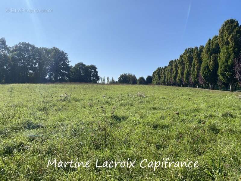 Dpt SARTHE (72), à vendre CORMES - PROPRIÉTÉ  P8 de 226 m² - Terrain de 2,50 Ha - photo 49