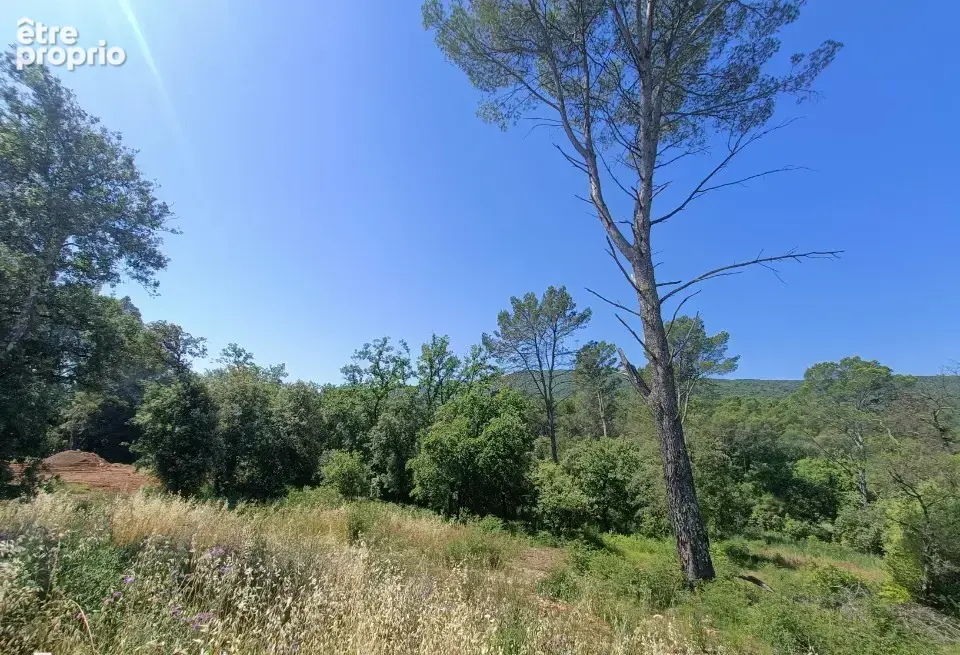 Terrain 1056 m² à Le Thoronet  - photo 3