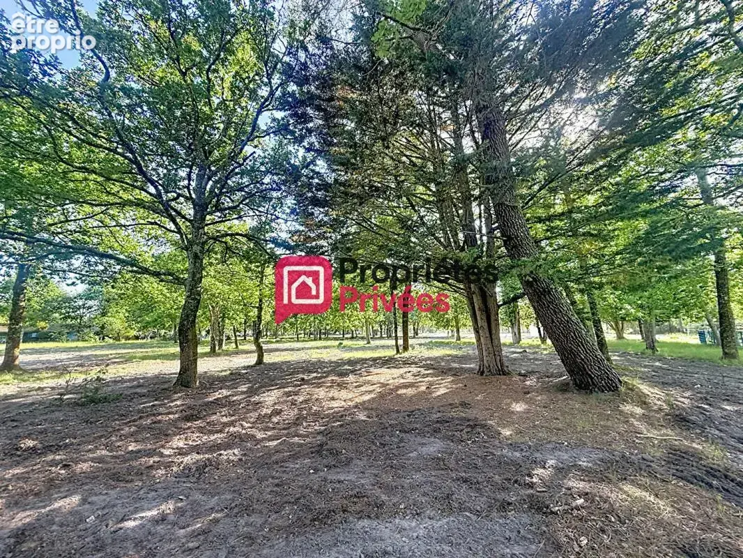 Hourtin-port - votre terrain à bâtir de 542 m² à deux pas du lac - photo 8