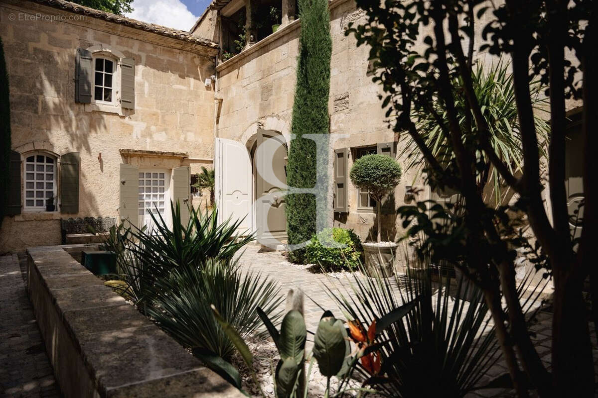 Maison 500 m² à Maussane-Les-Alpilles  - photo 3