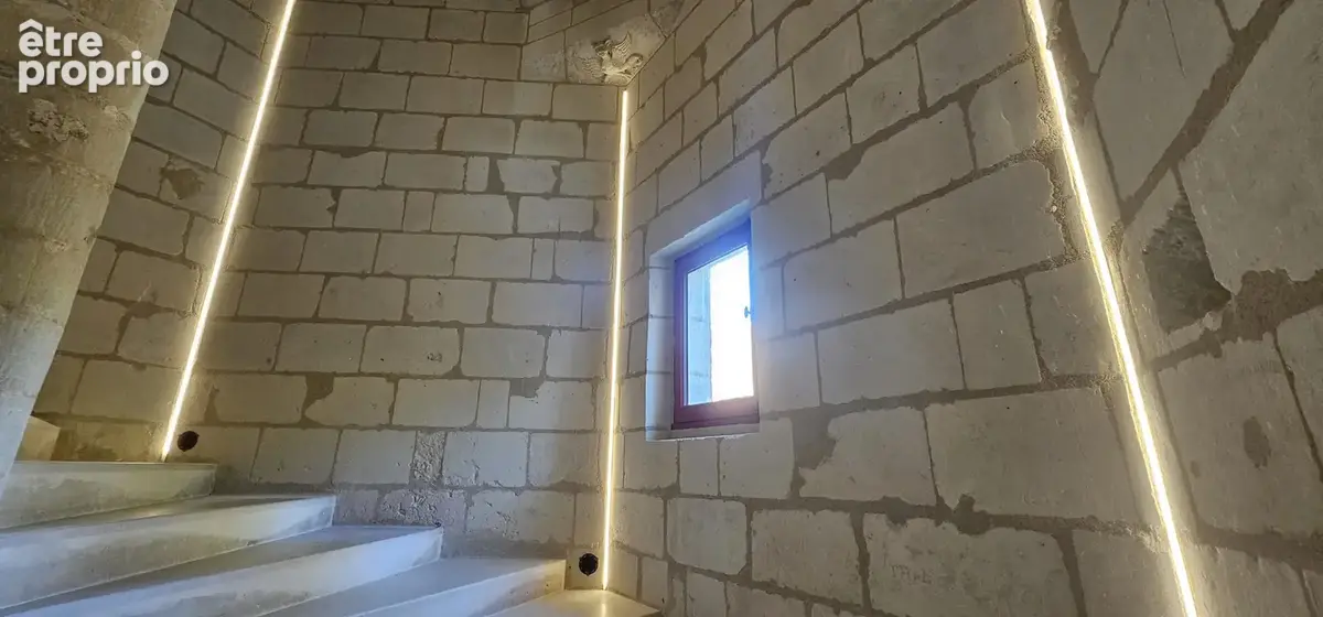 Château du XIIè siècle inscrit aux monuments historiques, dépendances et parc de 2 ha   Sud Touraine - photo 31