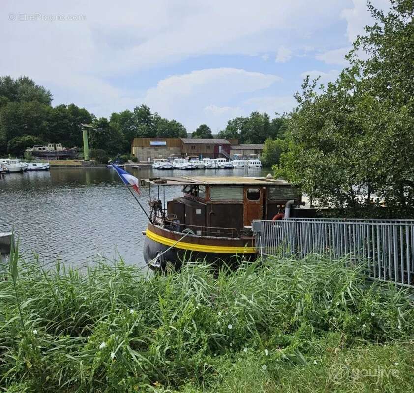 Péniche hollandaise 150m²  - 6 cabines - 4 couchages - photo 10