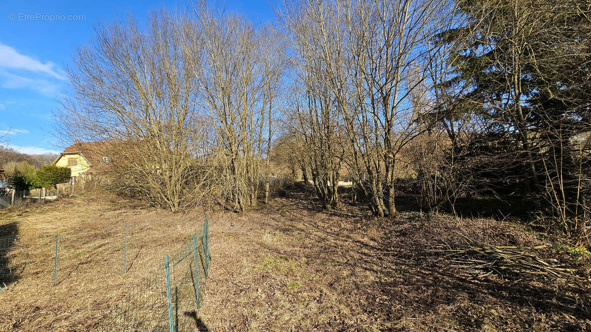 Terrain à ROPPENTZWILLER