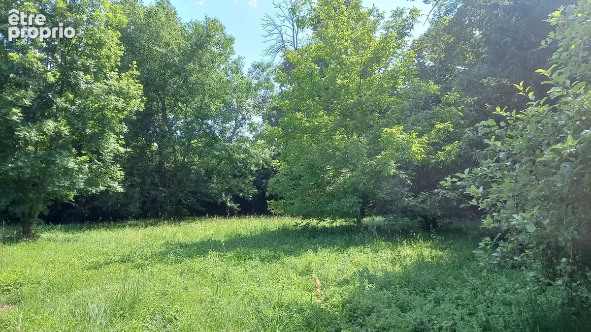 Propriété foncière   8 000 m2   2 lots à bâtir   Parc arboré   Bâti à requalifier - photo 10