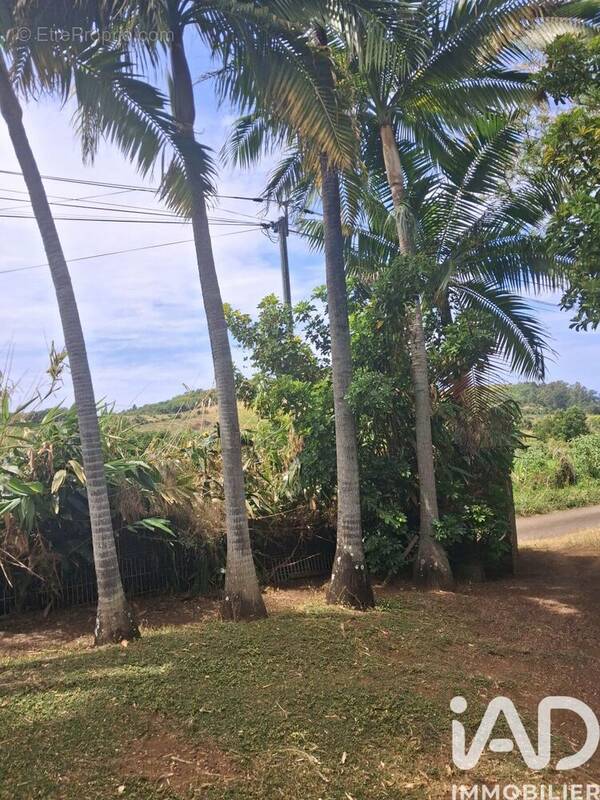 Photo 1 - Terrain à SAINT-PIERRE